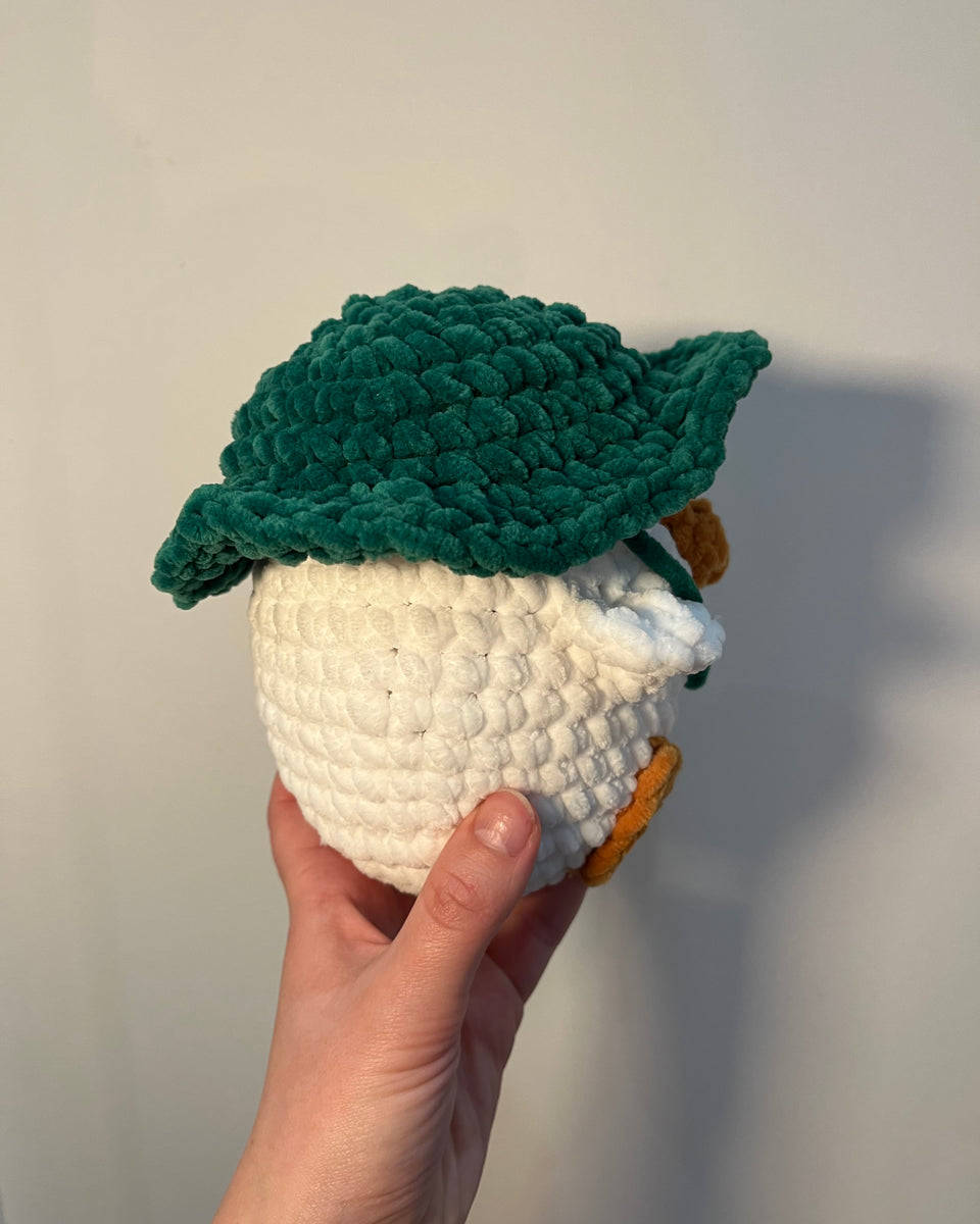 canard crochet